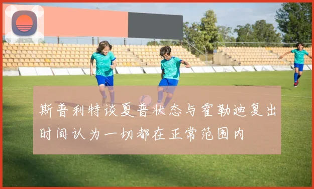 斯普利特谈夏普状态与霍勒迪复出时间认为一切都在正常范围内