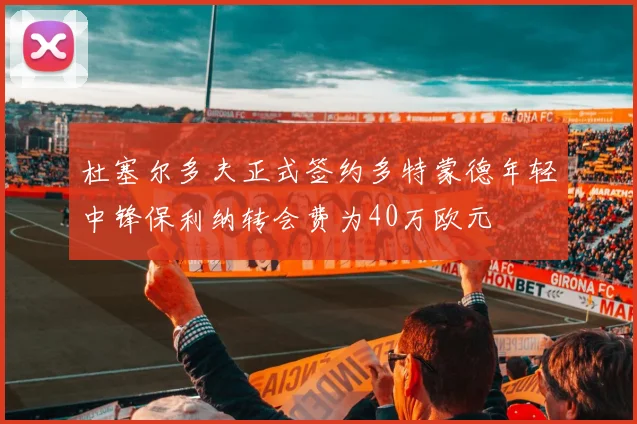 杜塞尔多夫正式签约多特蒙德年轻中锋保利纳转会费为40万欧元