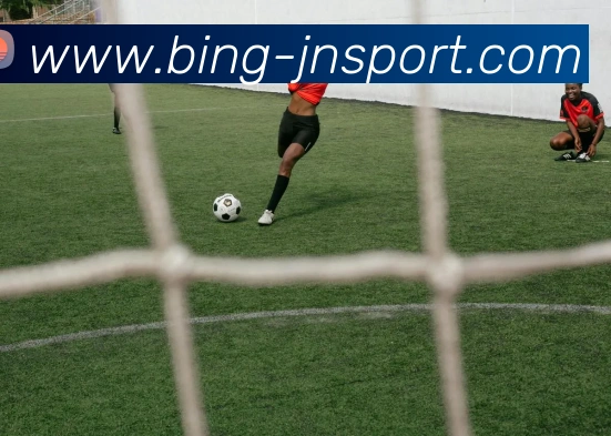 江南体育平台生态图